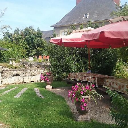 Le Moulin Du Modon Proche Du Zooparc De Beauval Bed and Breakfast Couffy Exteriör bild