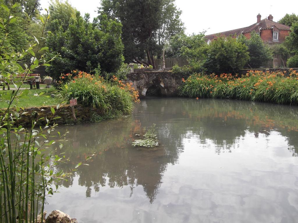 Le Moulin Du Modon Proche Du Zooparc De Beauval Bed and Breakfast Couffy Exteriör bild